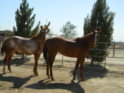 Kristopher Kristopher